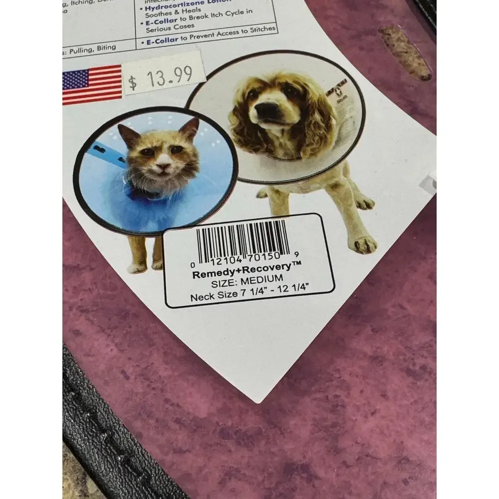Dog Cone Medium NWT